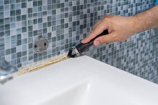 Best Mold Testing  in Paisley, FL