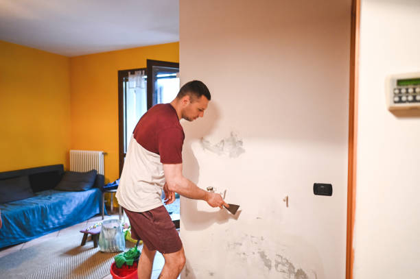 Best Fast Mold Removal  in Paisley, FL